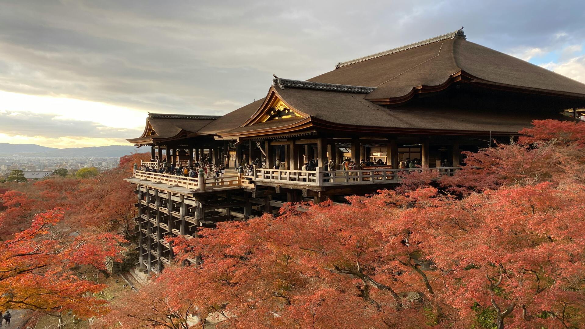 京都の秋を満喫